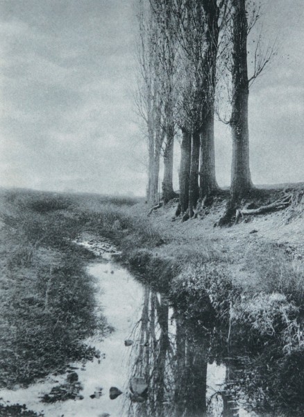 Untitled Canal with Trees