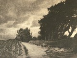 Untitled Landscape with Roadway 