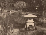 Japanese Tea Garden Pond with Stone Lantern