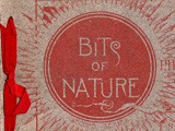 Cover: Bits of Nature: A Series of Ten Photogravures from Nature