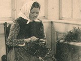 Woman Grafting Rootstock