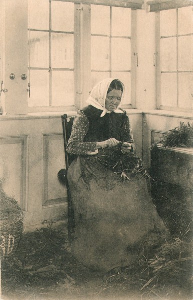 Woman Grafting Rootstock