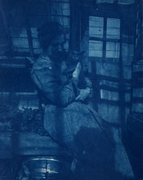 Woman holding cat in Shadows