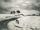 Une route de campagne en hiver