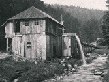 Waldmühle 