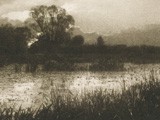 Sumpflandschaft 