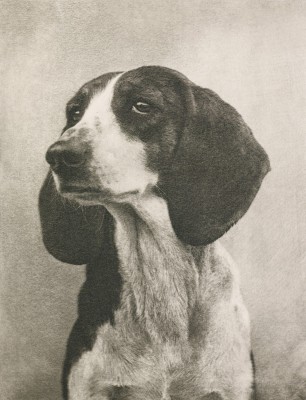 Wiener Photographische Blätter: 1894-1898 – Austrian photographic art journal