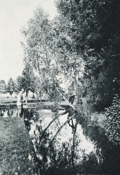 Photographische Rundschau : 1895