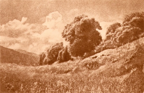 Photographische Rundschau : 1901