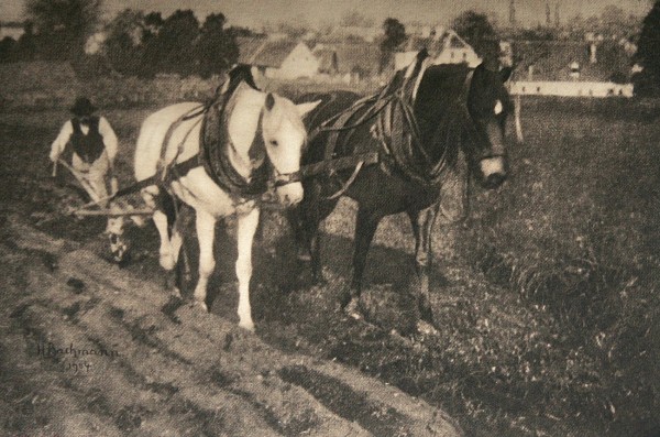 Photographische Rundschau : 1904
