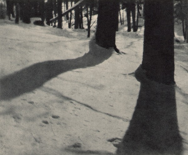 Shadows, 1903