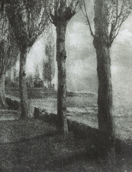 Photographische Rundschau : 1908