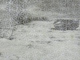 Snowflake tissue guard- Elbstrand im Schnee