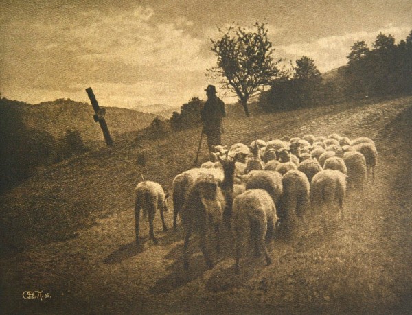 Photographische Mitteilungen : 1906