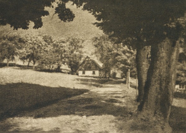 Photographische Mitteilungen : 1911
