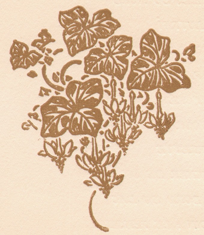 auriol-flowers-fyb