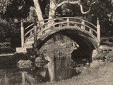 Japanese Tea Garden Bridge : Moanalua Park