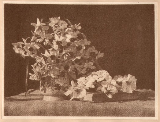 Aloha Circa 1900-1910 : Hawaiian Gum Bichromate Album 
