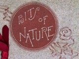 Cover: Bits of Nature: Ten Studies in Photo-Gravure