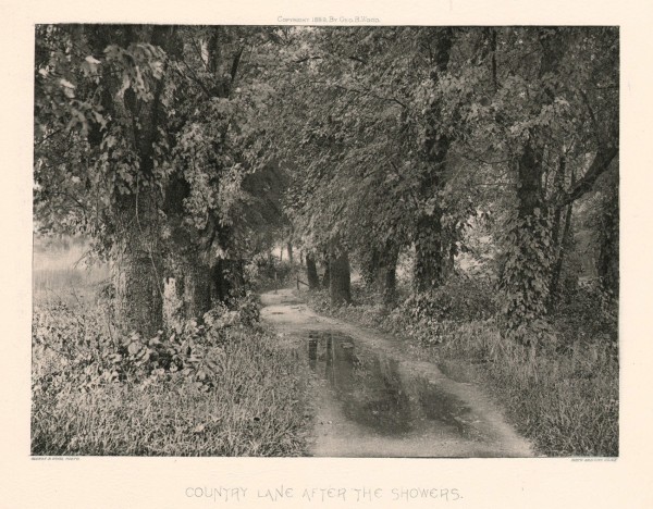 Country Lane After the Showers