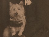 Woman with her West Highland White Terrier