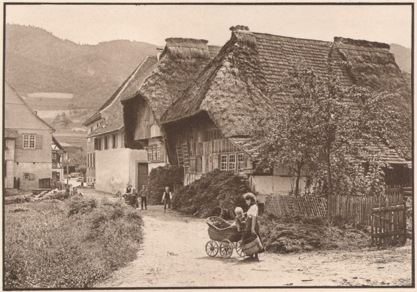 A Street in the Black Forest