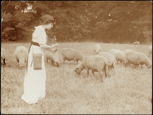 Kodak Girl in Sheep Field