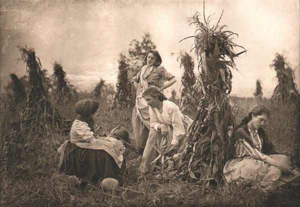 In the Harvest Field