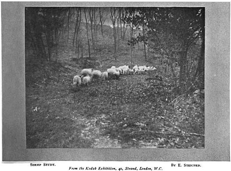 10-blog-edward-steichen-sheep-study-kodak-exhibition-london-august-1907