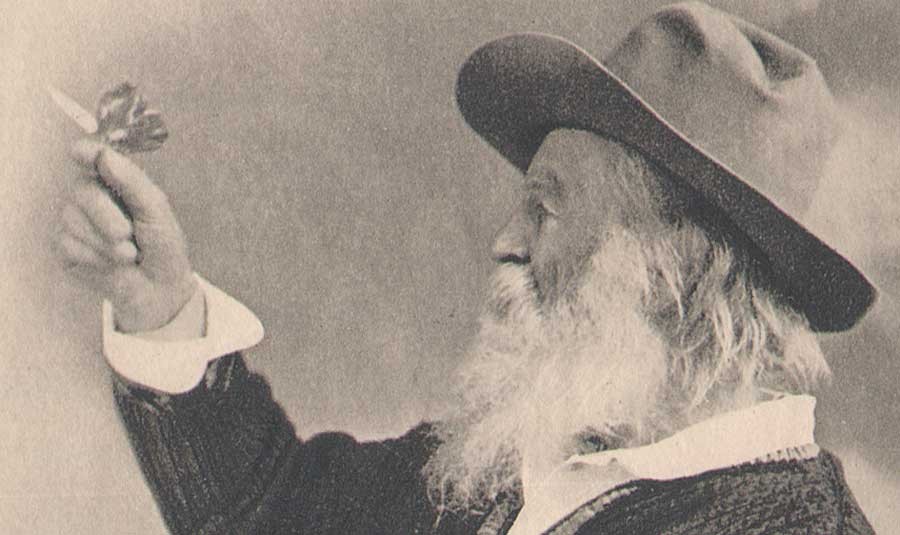 5-walt-whitman-and-the-but