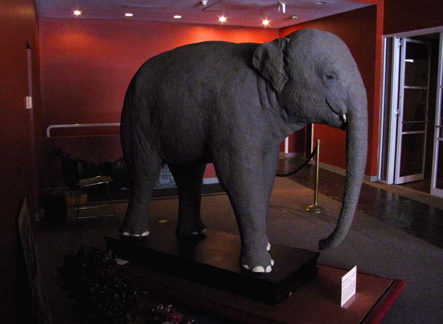Bridgeport displayed as museum specimen.