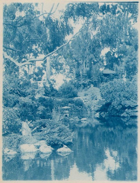 Japanese Garden Scenic View