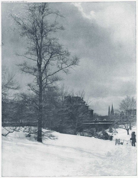 A Winter Sky - Central Park