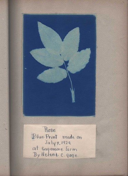 Blue Print Albums by Helen Chase Gage