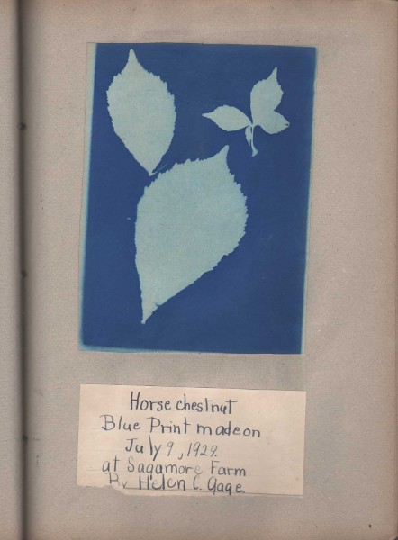 Blue Print Albums by Helen Chase Gage