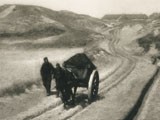 The Road Through the Dunes