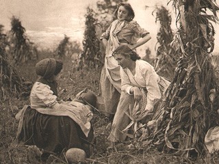 In the Harvest Field