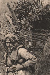 An Italian Peasant