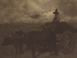 Ox Cart -Sunset