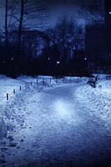 Moonlight, Central Park