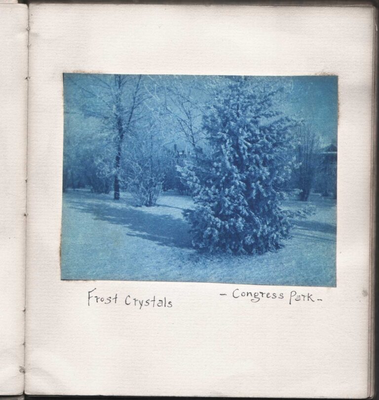 Frost Crystals  -Congress Park-