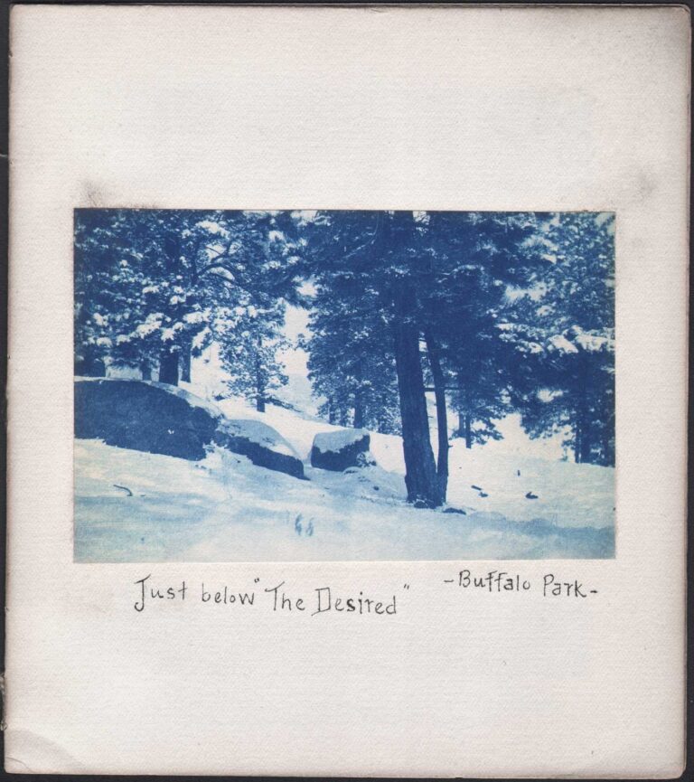 Just below “The Desired” |  Buffalo Park