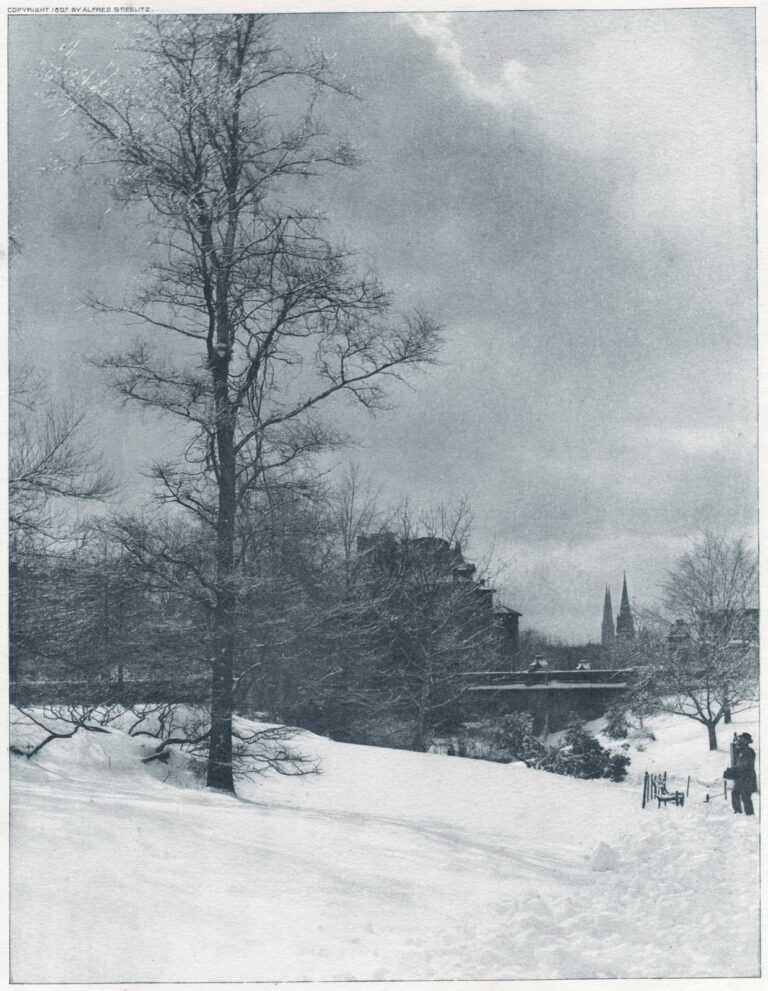 A Winter Sky – Central Park