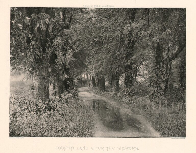 Country Lane After the Showers