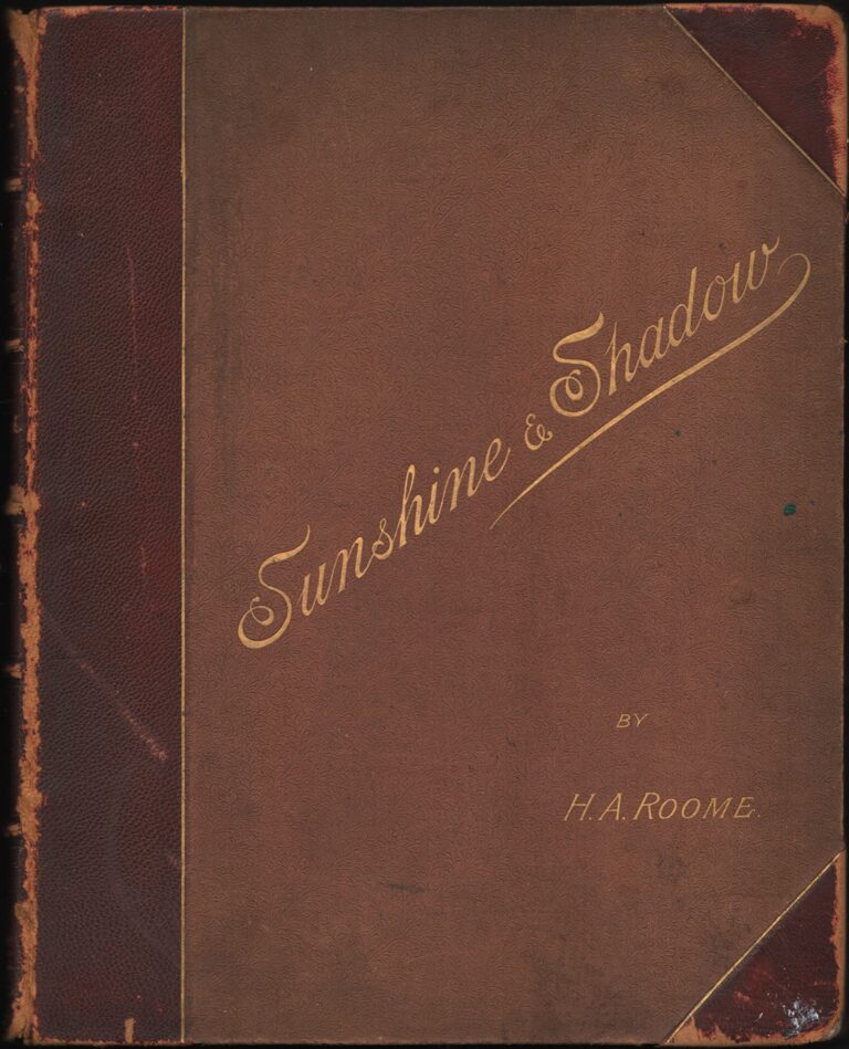 Cover: Sunshine and Shadow