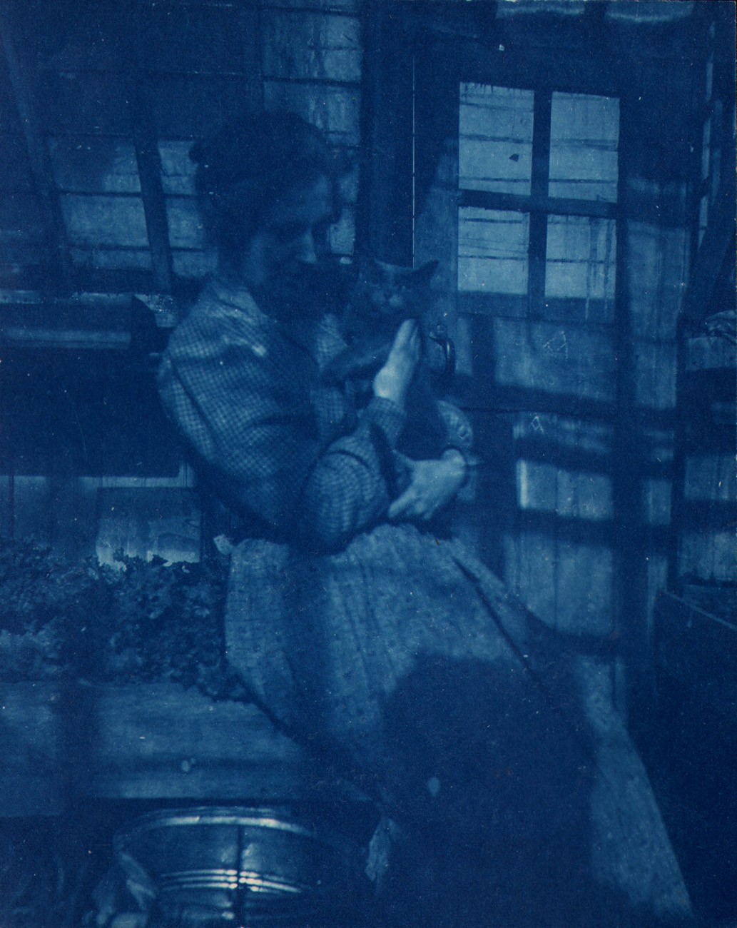 Woman holding cat in Shadows