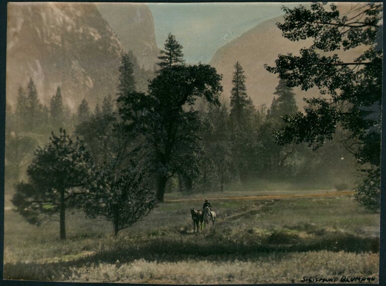 Yosemite Cowboy
