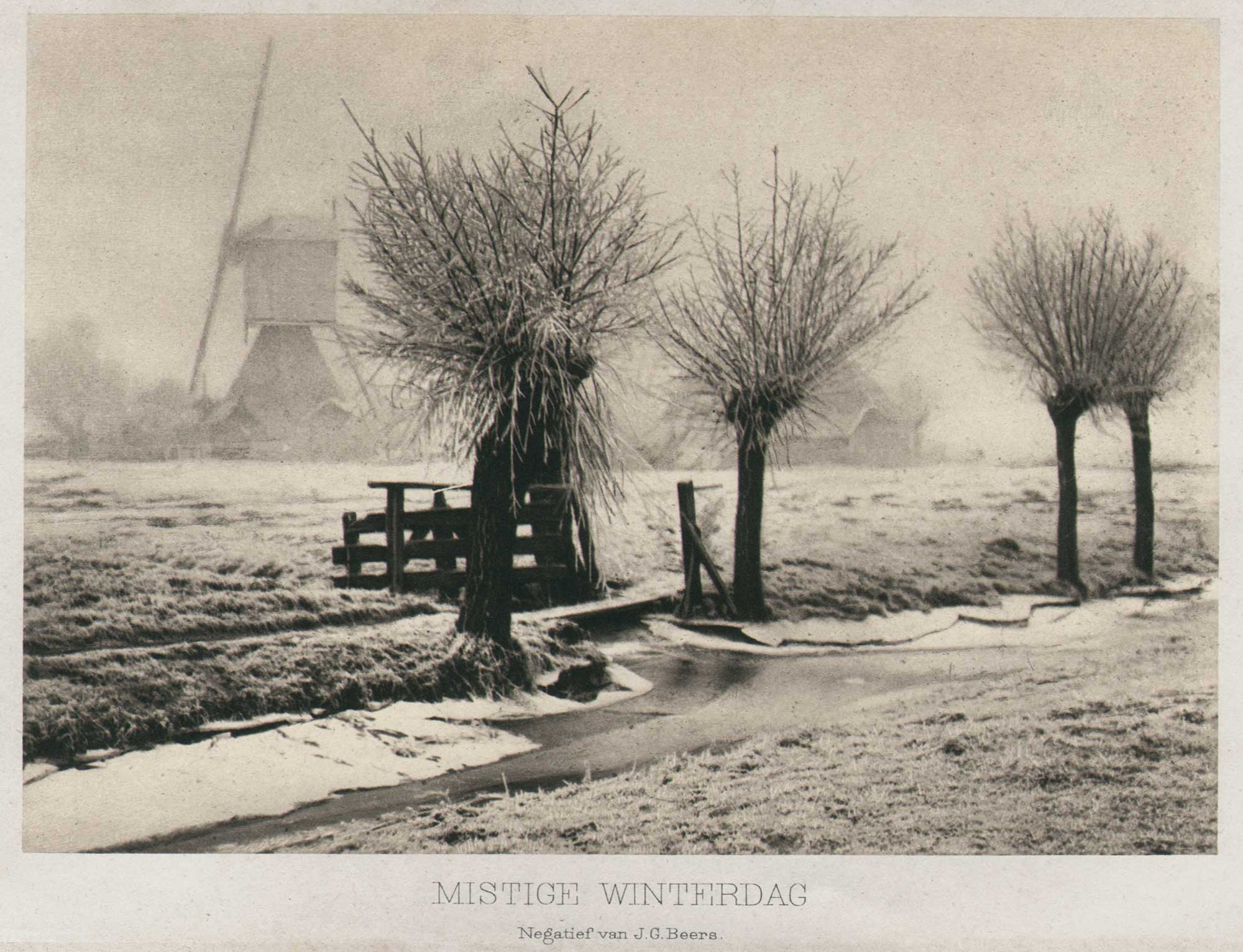 Mistige Winterdag | Misty Winter Day