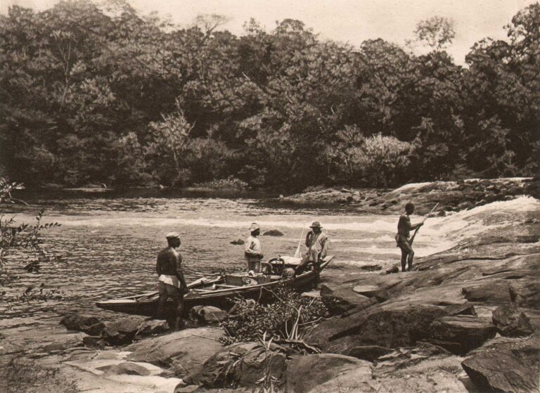 Aan Den Voet Van Den Cremer-Val (Suriname) | At the foot of the Cremer Valley (Suriname)