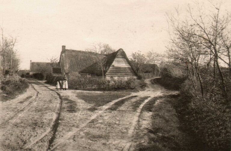 Landweg Op De Heide | Country Road On The Heath